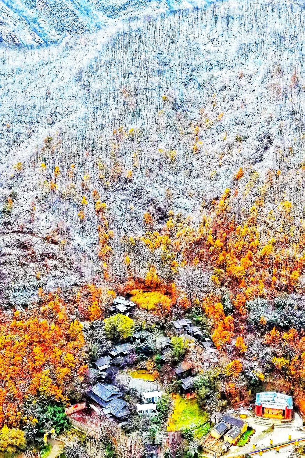 美！河南冬景上新啦