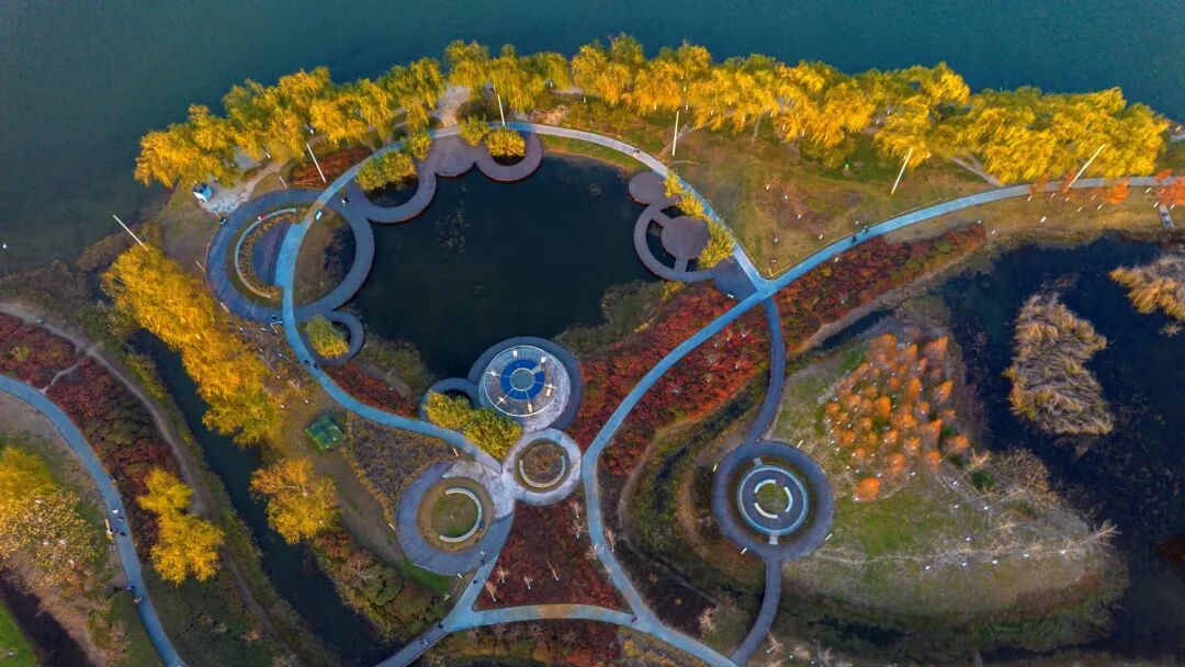 美！河南冬景上新啦