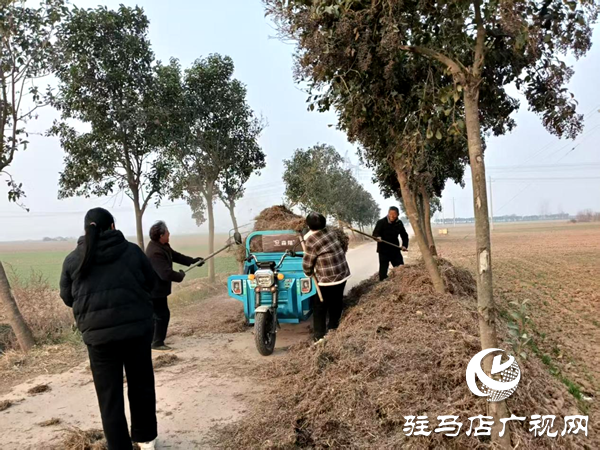 平輿縣射橋鎮(zhèn):高位部署抓落實 秸稈清運護藍天