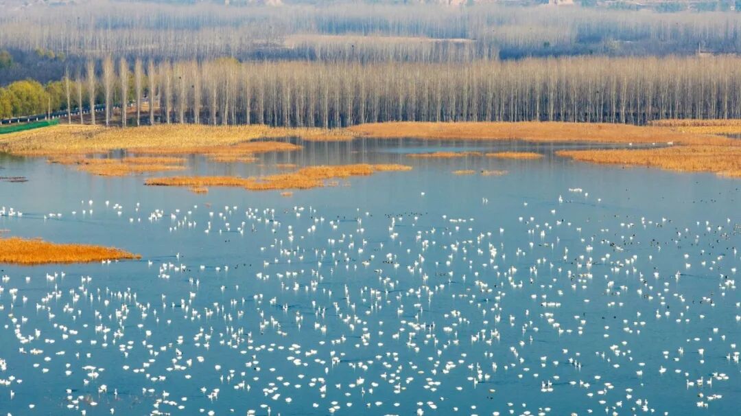 美！河南冬景上新啦