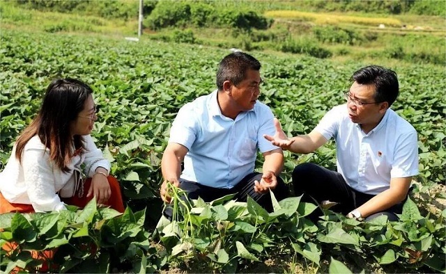 7000 億里程碑背后：中國人壽錨定國之大者，書寫金融為民時(shí)代答卷