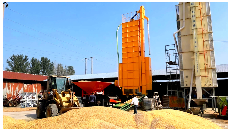 糧食總產量1350.98億斤 河南豐收不易擔當更重