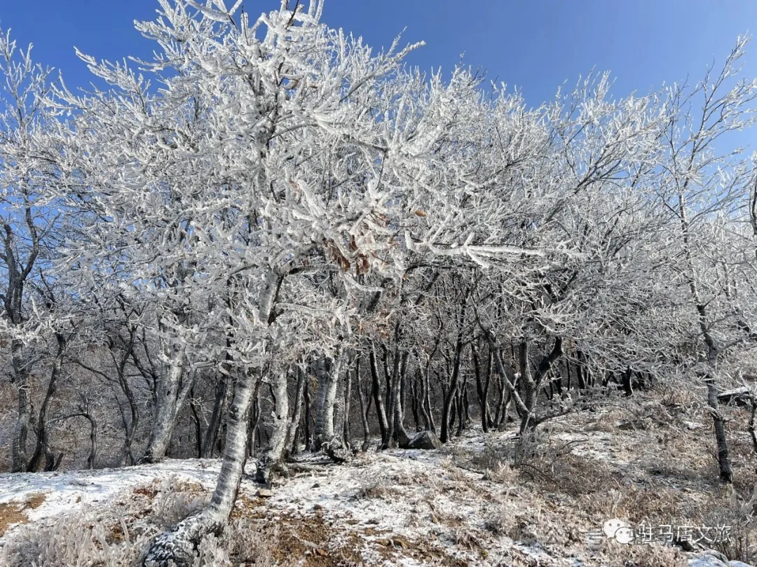 冬日限定雪景大片，每一張都能當(dāng)壁紙！
