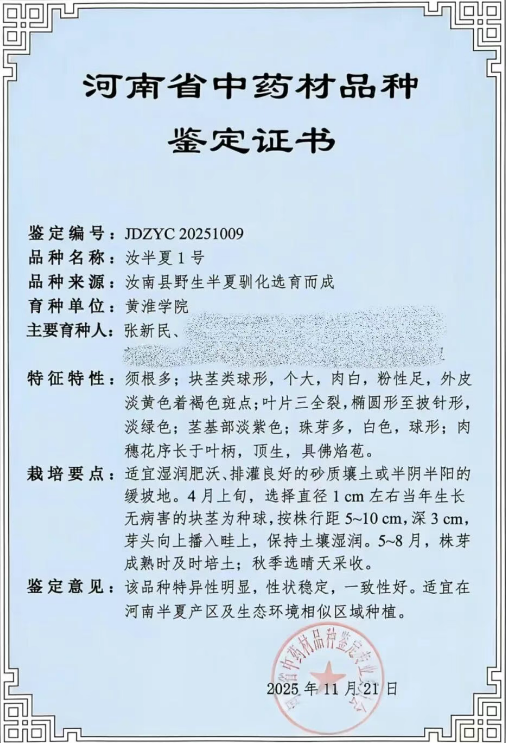 喜報(bào)！黃淮學(xué)院“汝半夏1號(hào)”獲省中藥材品種鑒定證書(shū)