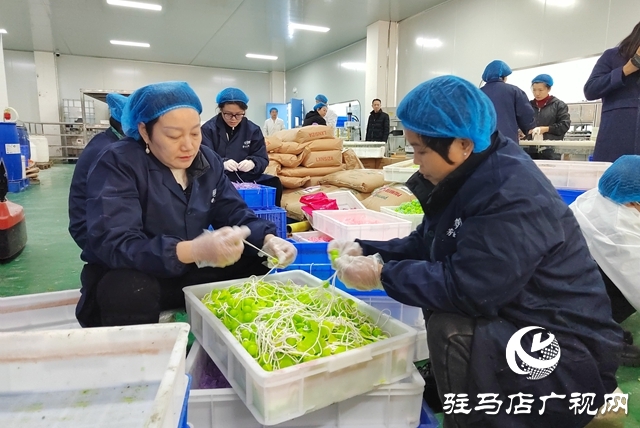 國(guó)家級(jí)盛會(huì)搭臺(tái)賦能 杞樂生物科技借勢(shì)騰飛