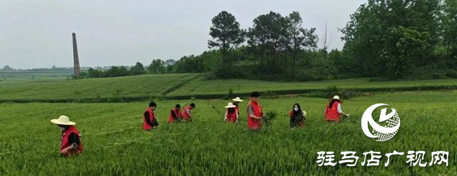  驛城區(qū)老河鄉(xiāng)被評(píng)為“美麗中國(guó)·深呼吸小鎮(zhèn)”