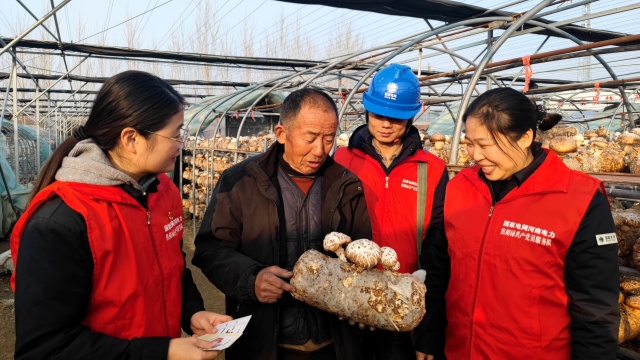 國網(wǎng)泌陽縣供電公司：黨建引領(lǐng)優(yōu)服務(wù) 電力護航興產(chǎn)業(yè)