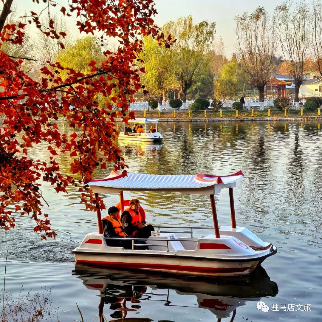 全部免費！在駐馬店，收藏冬日的第一縷暖陽