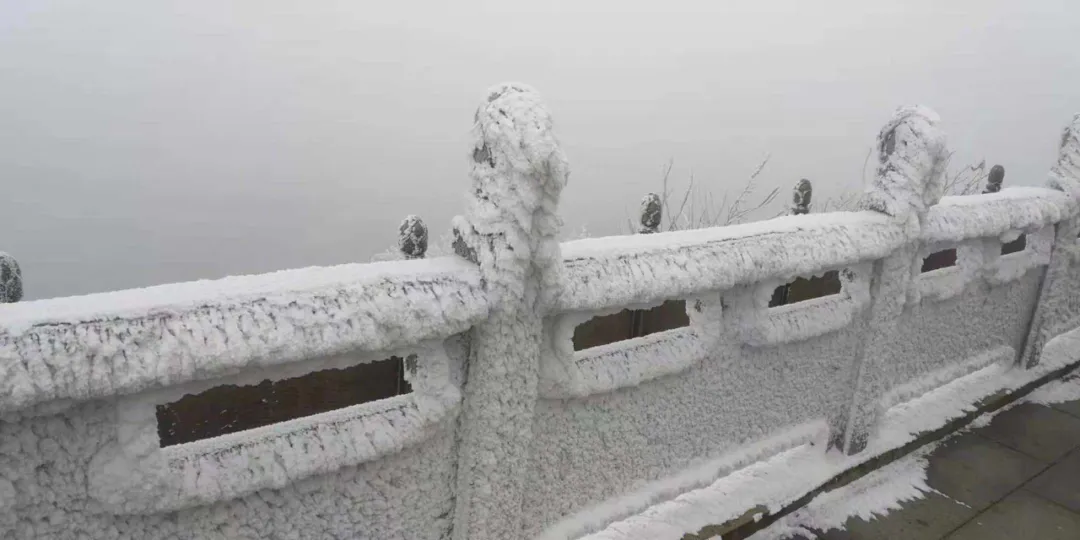 速凍的浪漫，這波冬日顏值“殺”我！