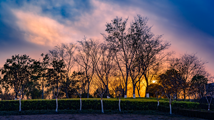 縣區(qū)動(dòng)態(tài) | 金輝染玉帶 樹(shù)影繪冬卷