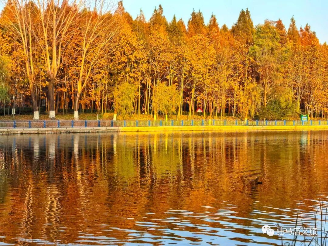 全部免費！在駐馬店，收藏冬日的第一縷暖陽