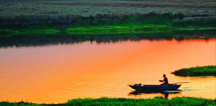 冬日限定！萬鳥齊飛，這幅生態(tài)畫卷美到心醉
