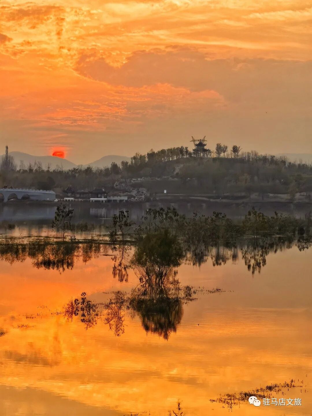 家門口的練江湖，藏著一片會“燃燒”的森林！