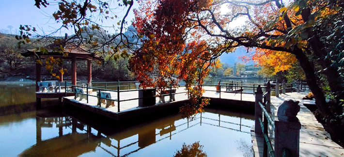 駐馬店的冬:藏在煙火與風(fēng)雪里的溫柔