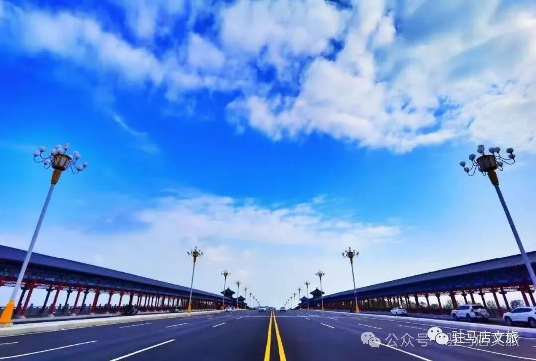 家門口的練江湖，藏著一片會“燃燒”的森林！