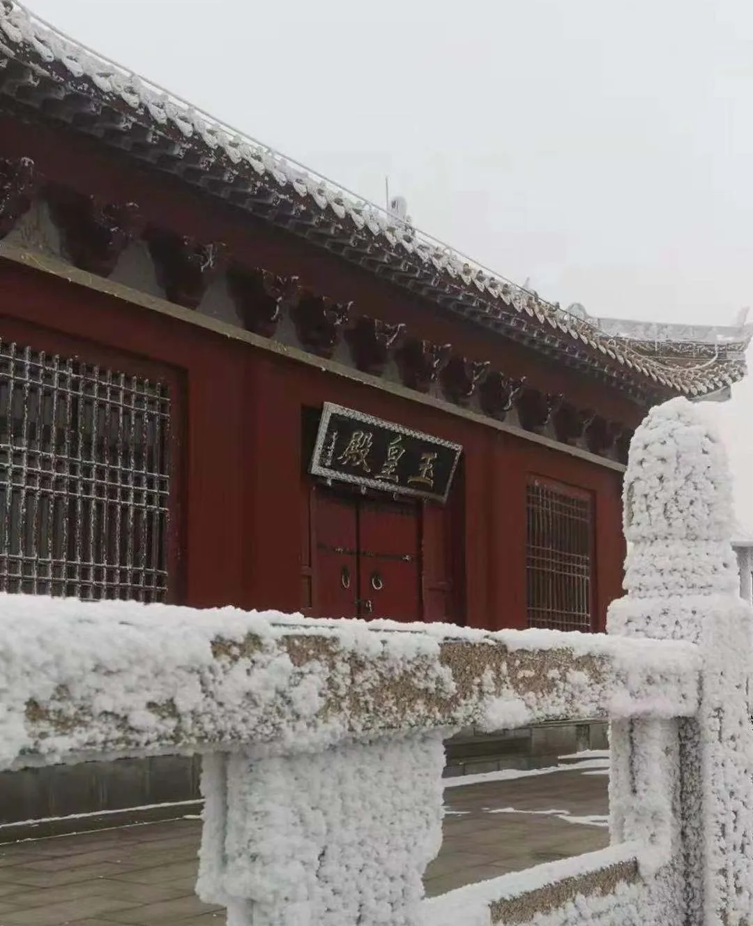 速凍的浪漫，這波冬日顏值“殺”我！