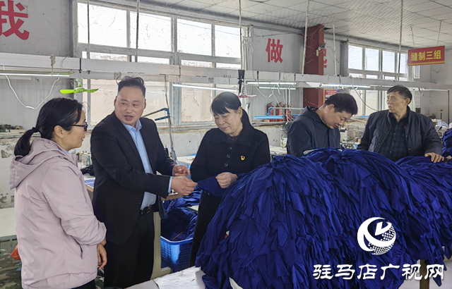 泌陽縣羊冊(cè)鎮(zhèn)陶莊村:“點(diǎn)線面”工作法 繪就立體黨建新畫卷