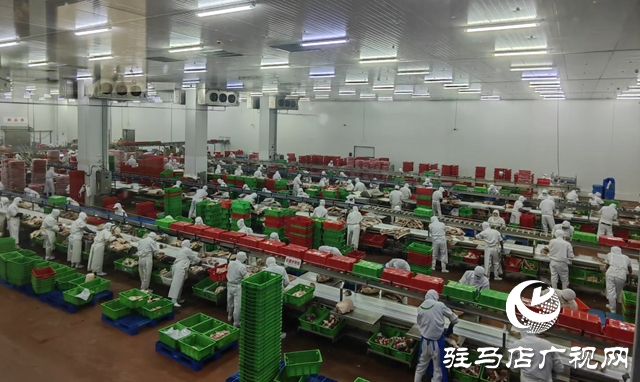 上農(nóng)實(shí)業(yè):沖刺四季度 保障“肉案子”