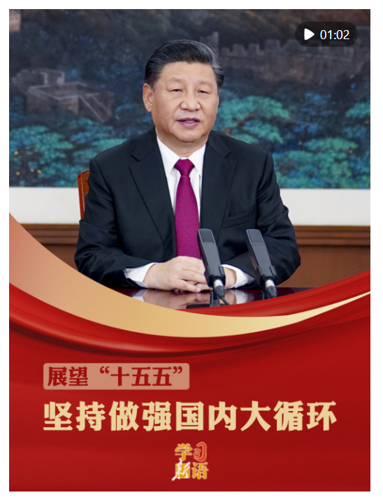 學(xué)習(xí)新語·展望“十五五”｜堅持做強國內(nèi)大循環(huán)