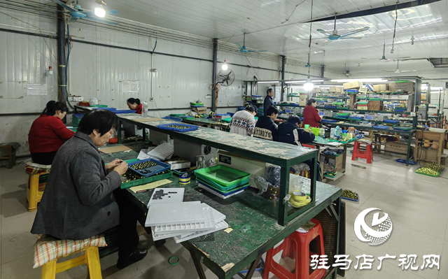 泌陽縣羊冊(cè)鎮(zhèn)陶莊村:“點(diǎn)線面”工作法 繪就立體黨建新畫卷