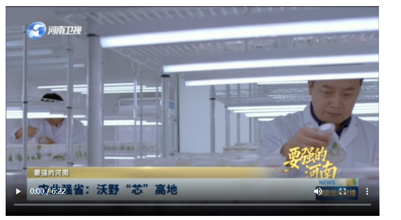 農(nóng)業(yè)強(qiáng)?。何忠啊靶尽备叩刎獜?qiáng)的河南