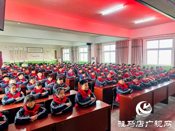 共青團平輿縣委組織開展黨的二十屆四中全會精神宣講活動