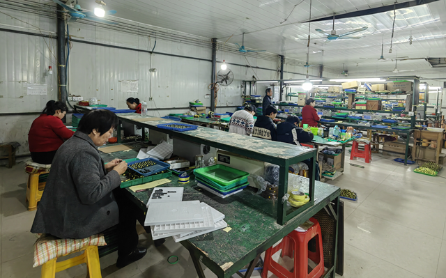 泌陽縣羊冊鎮(zhèn)陶莊村：“點線面”工作法 繪就立體黨建新畫卷