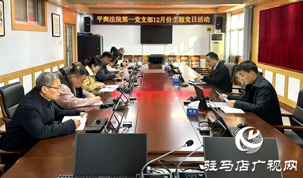 平輿縣人民法院開展“深化理論學(xué)習(xí)，凝聚奮進力量”主題黨日活動