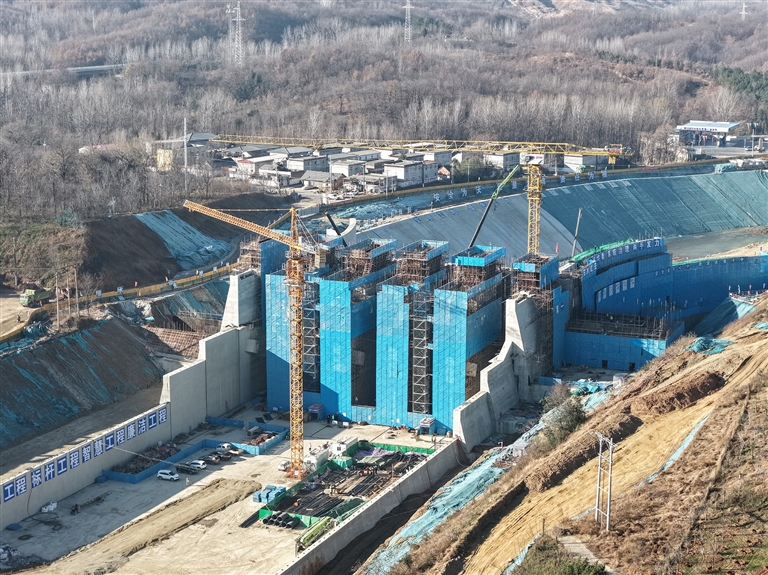 晚播小麥冬日“成長(zhǎng)錄”