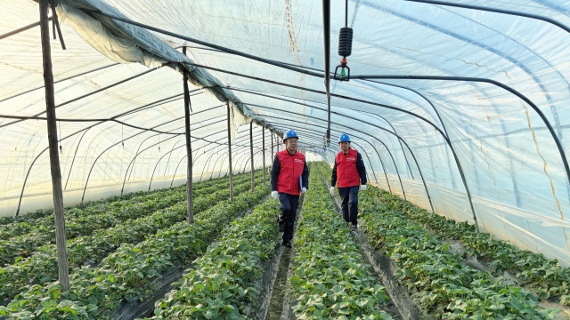 國(guó)網(wǎng)確山縣供電公司：為“莓”好生活充滿電