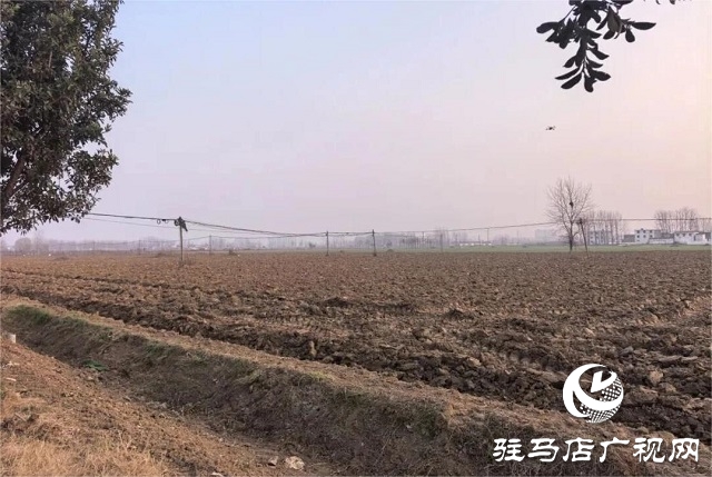 駐馬店聯(lián)通平輿公司創(chuàng)新應(yīng)用無人機(jī)技術(shù)提升桿路光纜巡檢效能