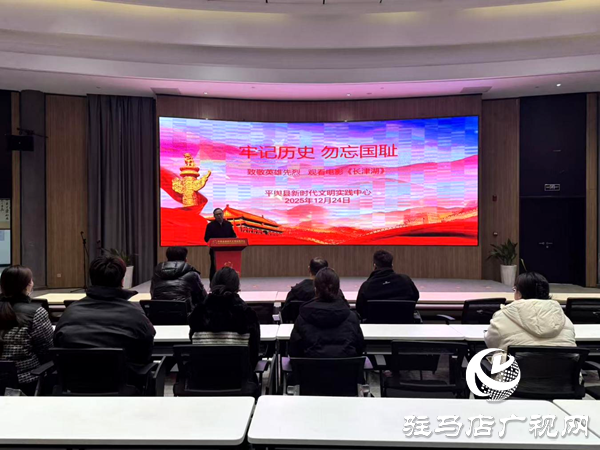 平輿縣新時(shí)代文明實(shí)踐中心組織開(kāi)展“銘記歷史·致敬英雄”主題活動(dòng)