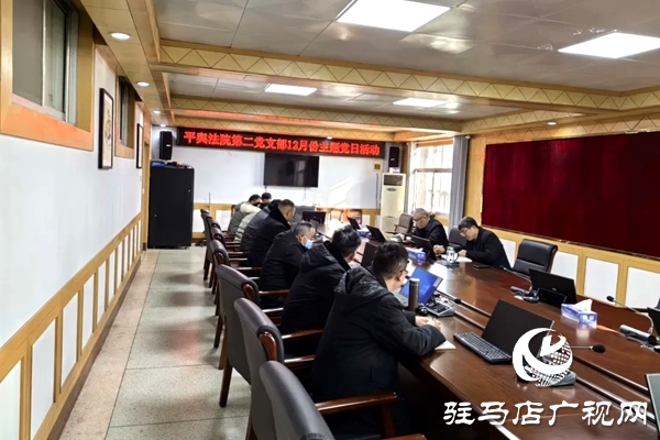 平輿縣人民法院開展“深化理論學(xué)習(xí)，凝聚奮進力量”主題黨日活動