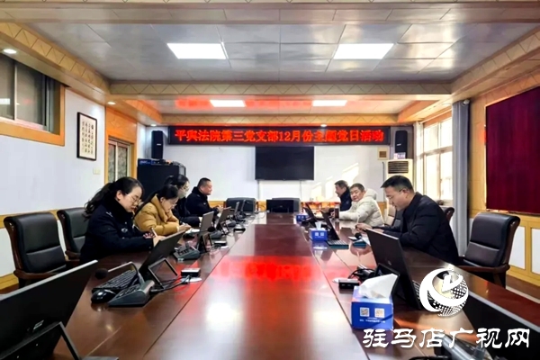 平輿縣人民法院開展“深化理論學(xué)習(xí)，凝聚奮進力量”主題黨日活動