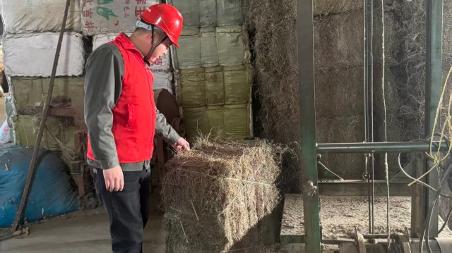 國網(wǎng)泌陽縣供電公司：電力護(hù)航艾飄香 優(yōu)質(zhì)服務(wù)產(chǎn)業(yè)旺