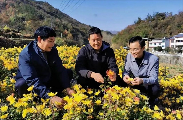 回眸2025丨將自身發(fā)展融入國(guó)家發(fā)展大局，中國(guó)人壽交出“三有”年度答卷