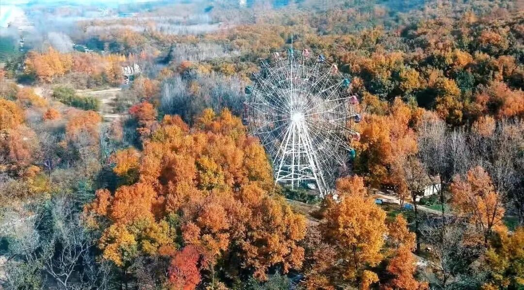 金頂山13天免票暢玩，山水詩意邀您入畫！