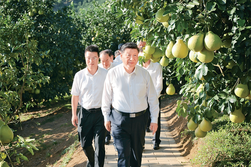 學(xué)習(xí)好貫徹好黨的二十屆四中全會(huì)精神