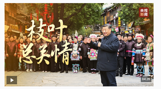 時(shí)政微視頻丨枝葉總關(guān)情