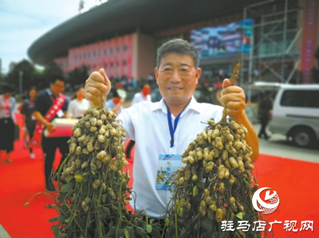 正陽縣代興種業(yè)：深學(xué)全會(huì)精神 讓良種真正成為增收“硬支撐”?