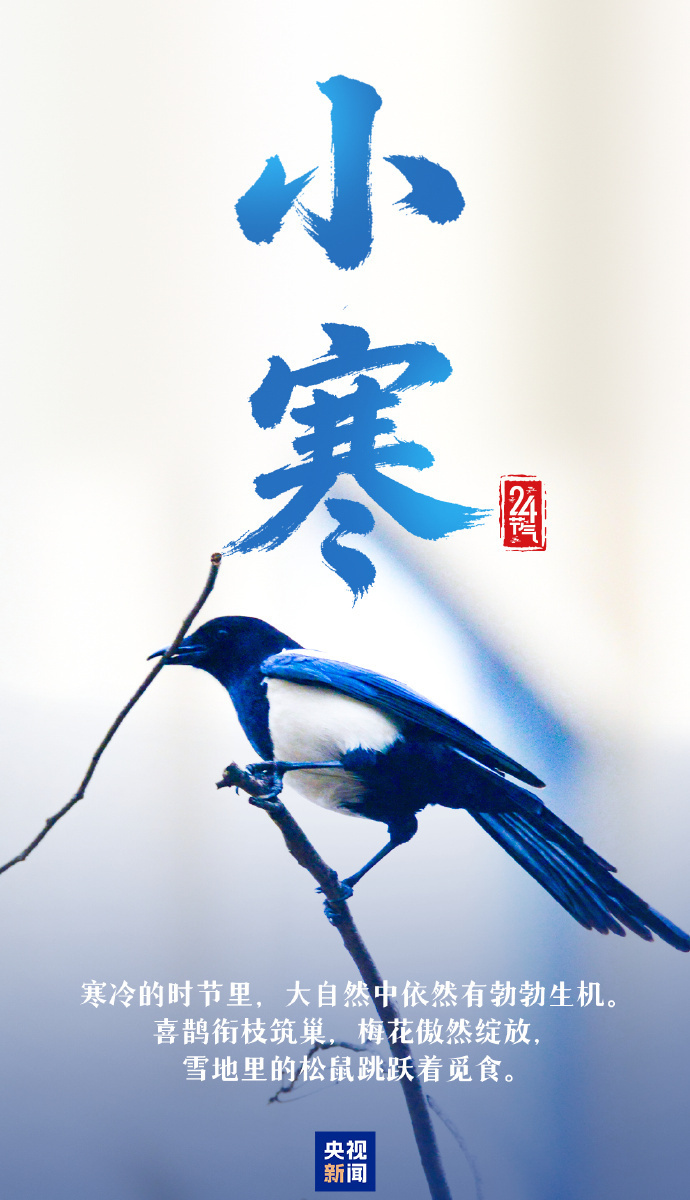 今日小寒 愿你心向暖陽(yáng) 靜待春歸