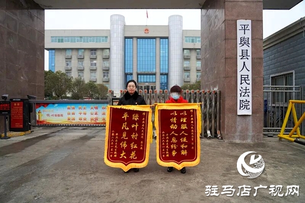 平輿縣人民法院：她頂風冒雨，送來錦旗！            