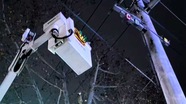 國(guó)網(wǎng)平輿縣供電公司：帶電作業(yè)清理樹(shù)障 護(hù)航冬季安全用電