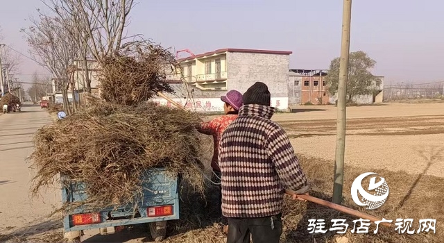 新蔡縣佛閣寺鎮(zhèn)：開展人居環(huán)境整治 助力鄉(xiāng)村“展新顏”