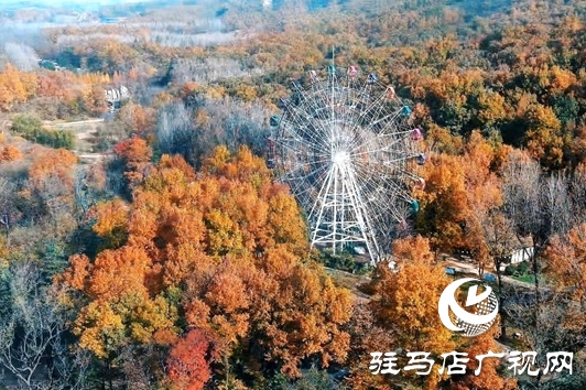 金頂山免門票迎農(nóng)加會 推動&ldquo;農(nóng)業(yè)+旅游&rdquo;跨界融合