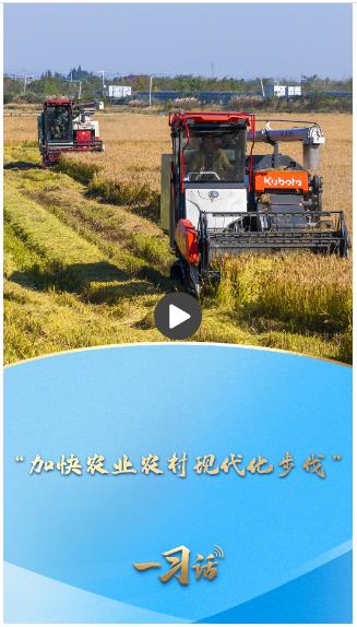 一習(xí)話&middot;邁向&ldquo;十五五&rdquo;|&ldquo;加快農(nóng)業(yè)農(nóng)村現(xiàn)代化步伐&rdquo;