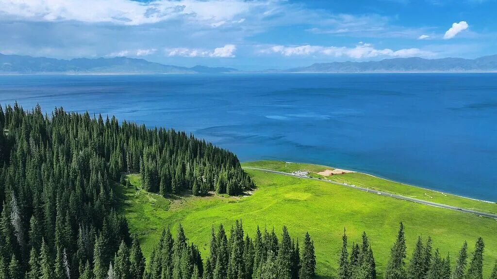 屬馬、姓馬、名字帶馬的人速看！這些景區(qū)免費玩