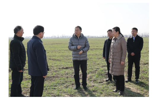 劉寧到信陽息縣調(diào)研推動(dòng)工作時(shí)強(qiáng)調(diào)：著力抓好小麥田管促苗情轉(zhuǎn)化升級(jí) 發(fā)揮優(yōu)勢(shì)努力把農(nóng)業(yè)建成現(xiàn)代化大產(chǎn)業(yè)