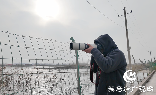 陳東洋：七年守護濕地 為十萬候鳥護航