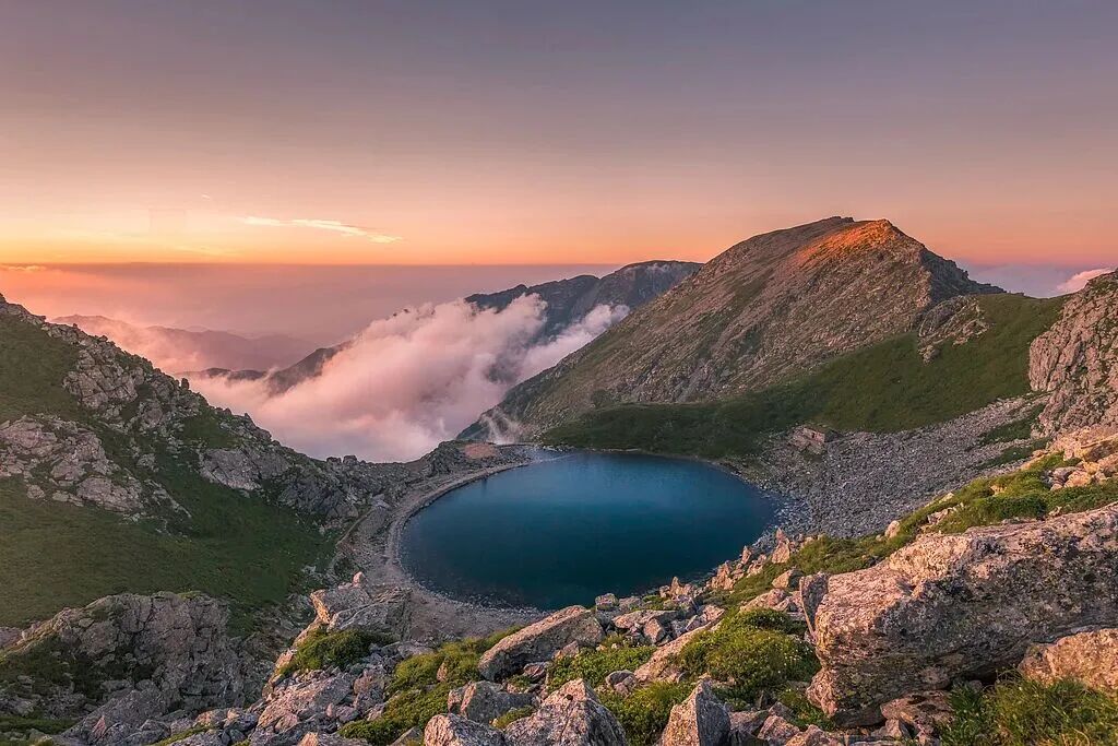 屬馬、姓馬、名字帶馬的人速看！這些景區(qū)免費玩